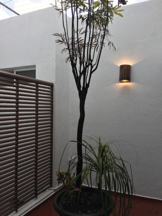 Residence Las Trojes Cdmx Мехіко Екстер'єр фото