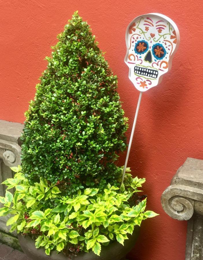 Residence Las Trojes Cdmx Мехіко Екстер'єр фото